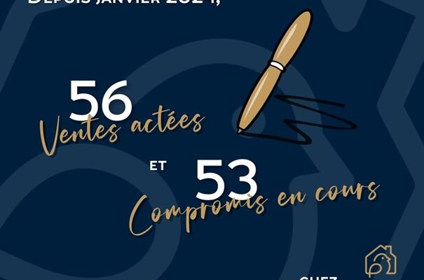 Statistiques de ventes Nidéal Immobilier 2024